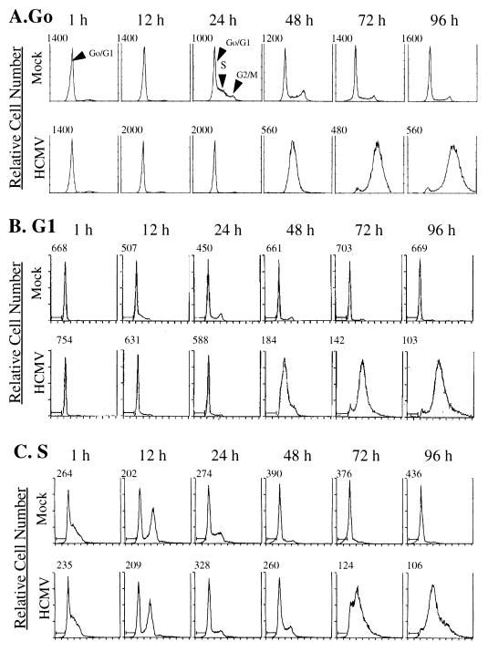 FIG. 1