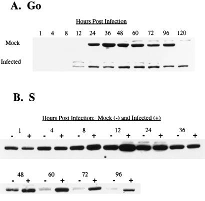 FIG. 8