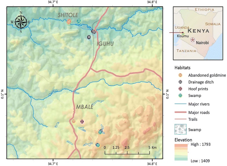 Fig. 1