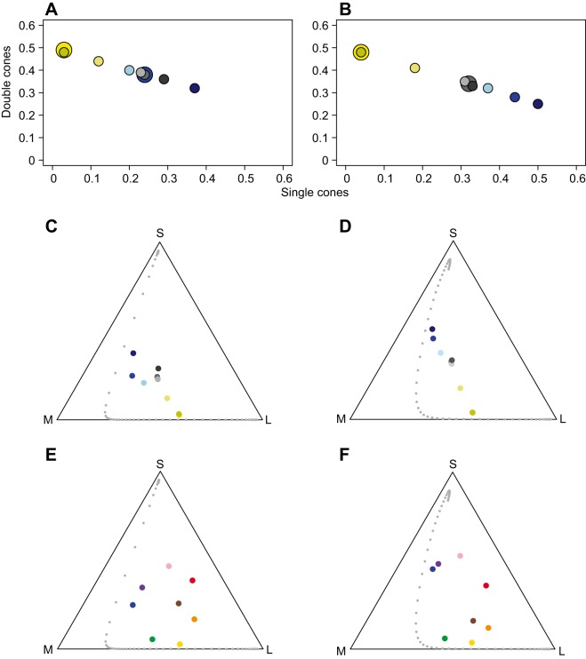 Fig. 4.