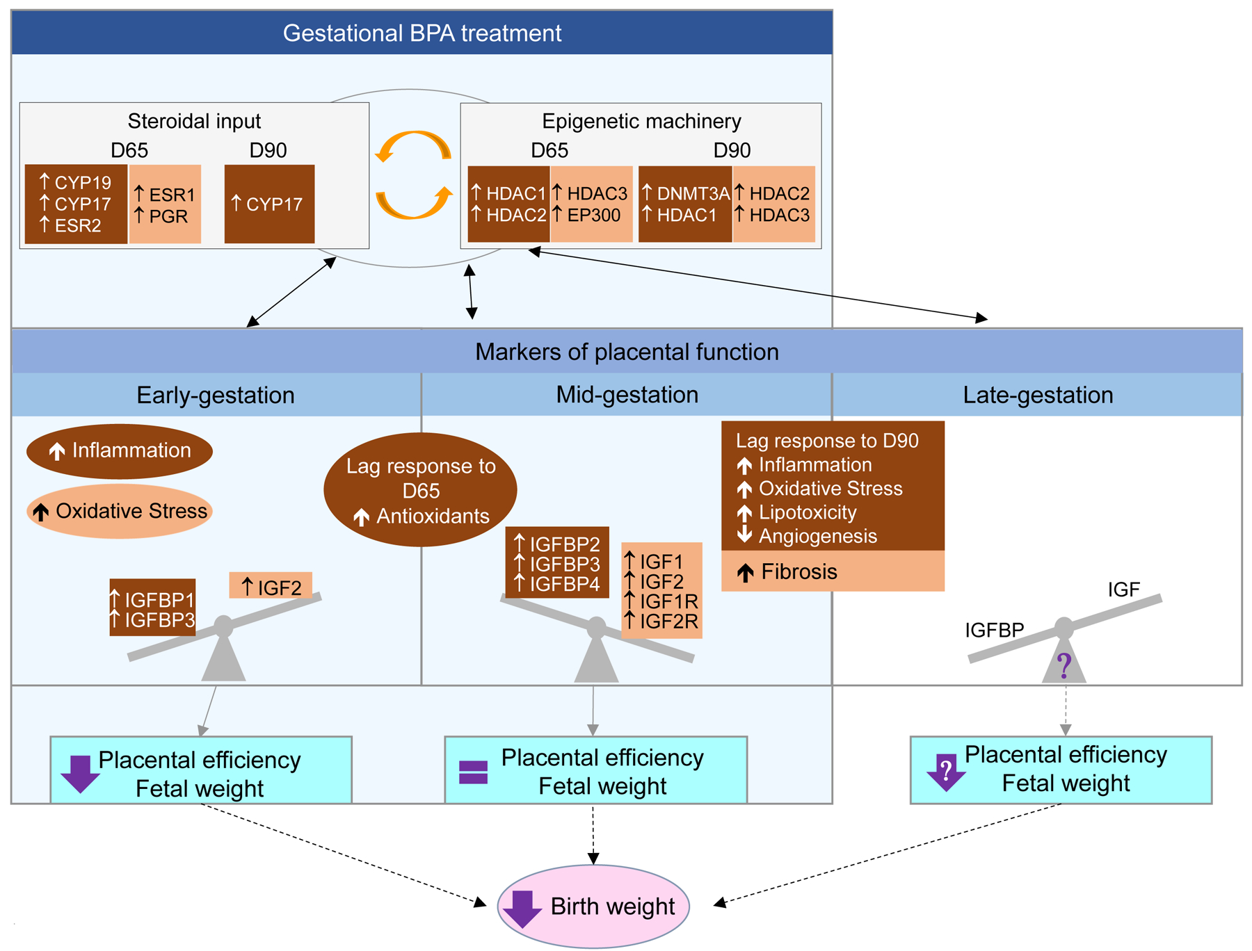 Figure 7: