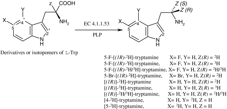 Fig. 2