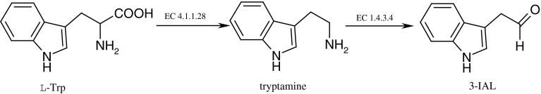 Fig. 1