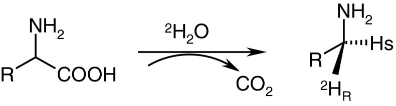 Fig. 3