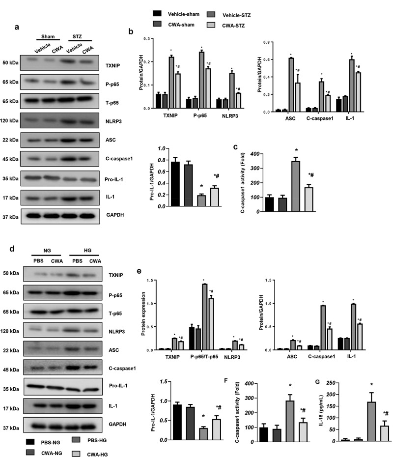 Figure 5.