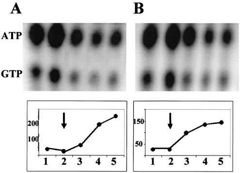 FIG. 9.