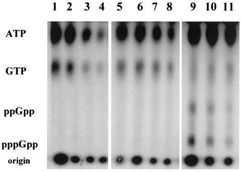 FIG. 8.