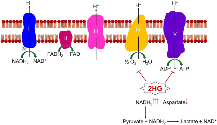 Figure 2: