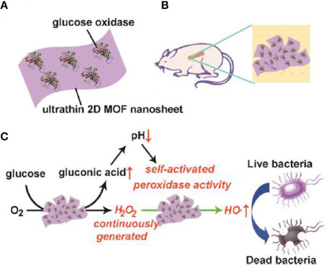 Figure 2