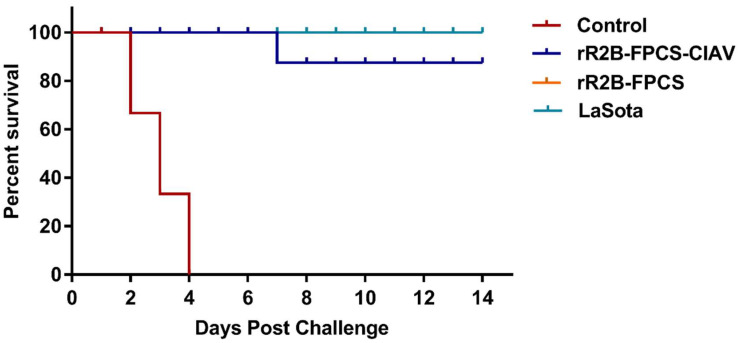 Figure 7