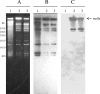 FIG. 1.