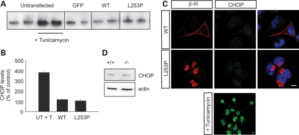 Figure 5.