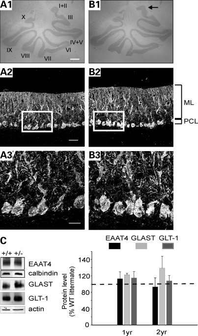 Figure 2.