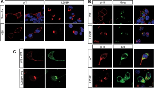 Figure 3.