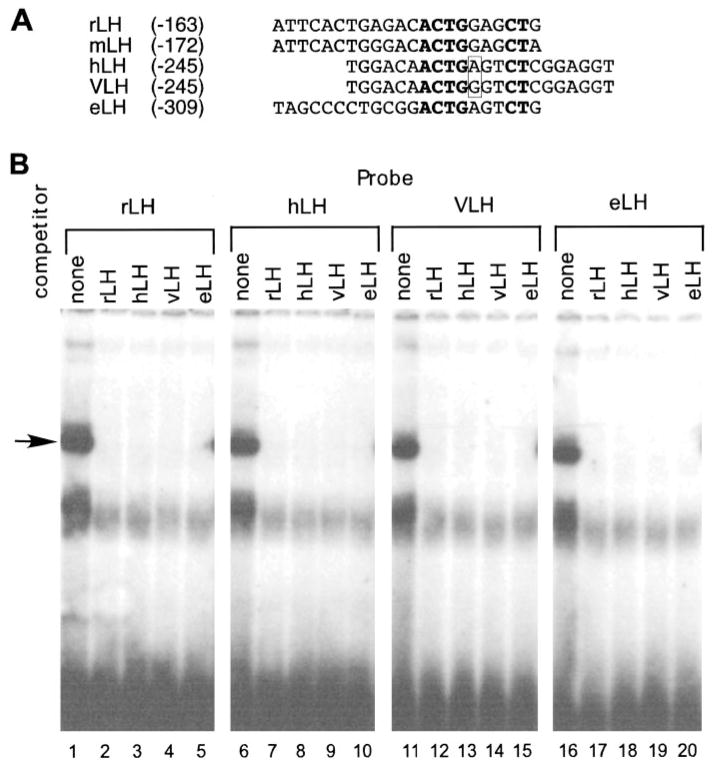 Fig. 10