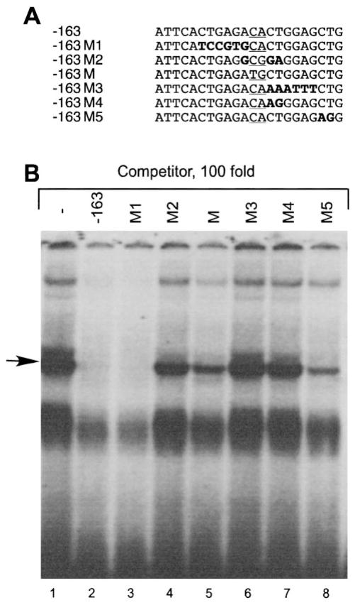 Fig. 9