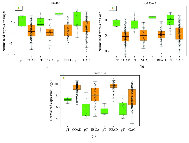 Figure 7