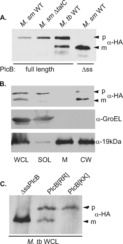 FIG. 6.