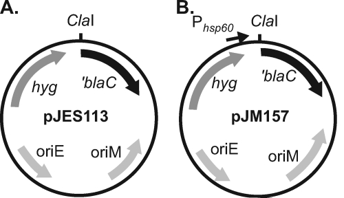 FIG. 1.