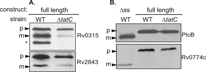 FIG. 5.