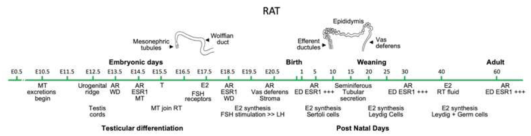 Fig 1.