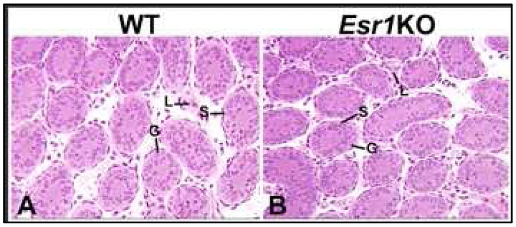 Fig 4.