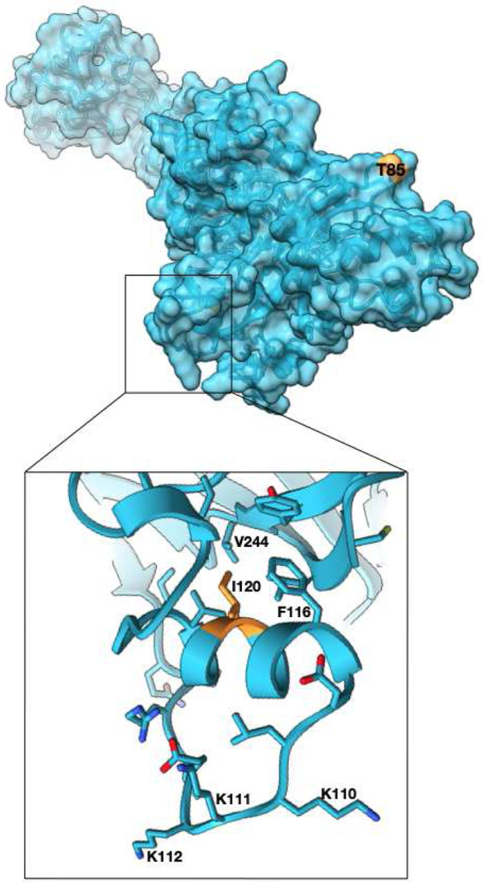 Figure 3.