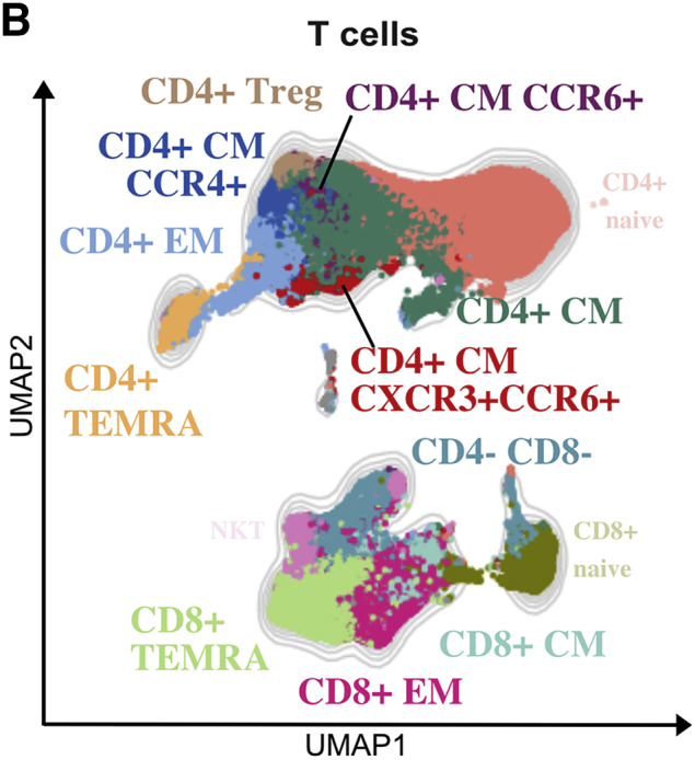 Figure 2B