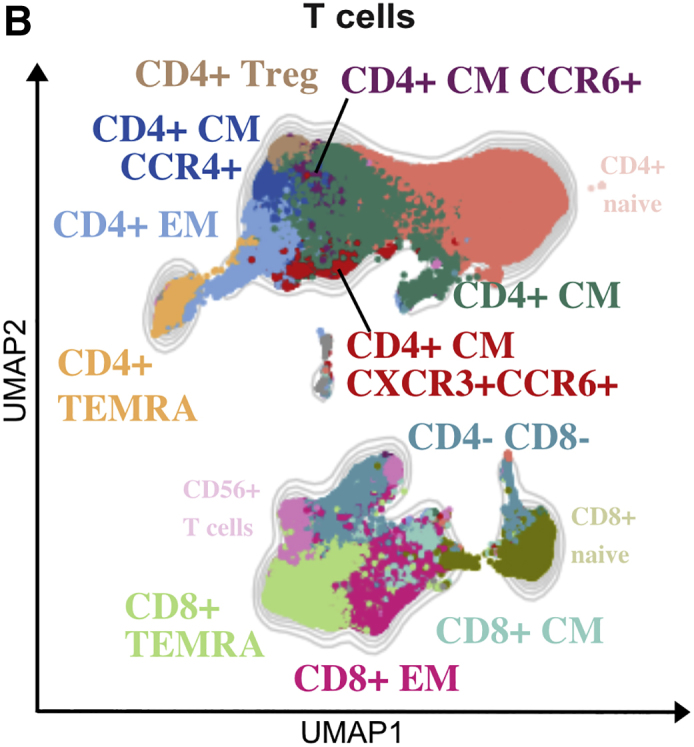 Figure 2B