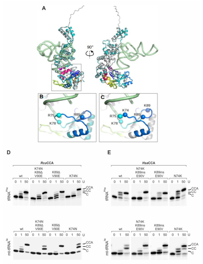 Figure 5