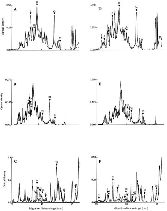 FIG. 7