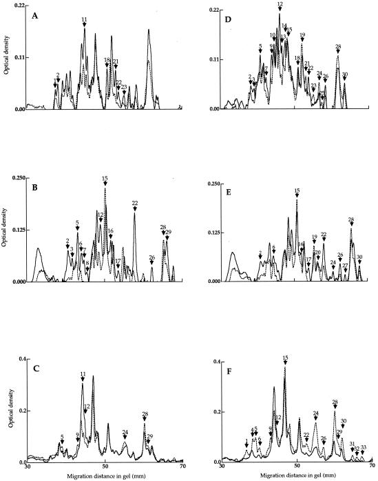 FIG. 6