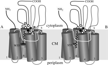 FIG. 1.