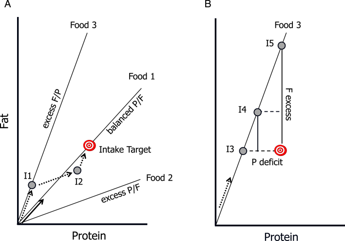 Fig.1