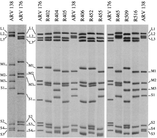 FIG. 6