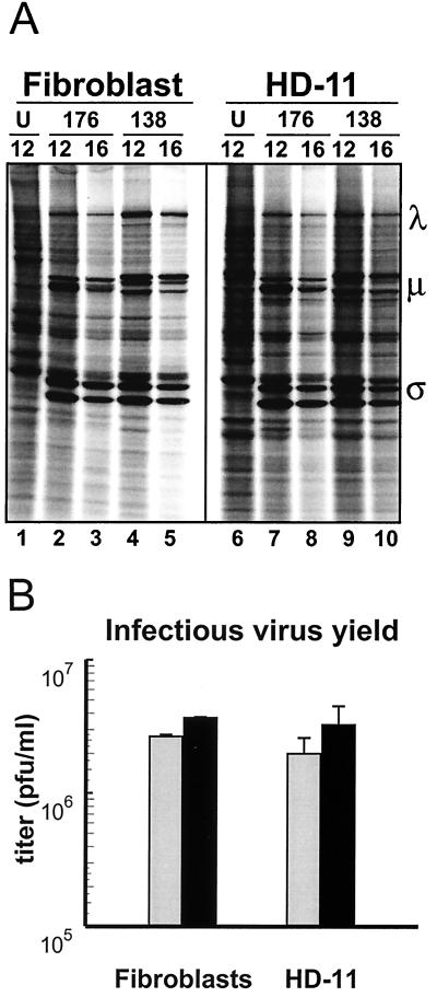 FIG. 5