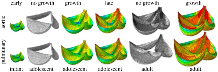 Figure 13.