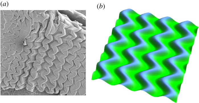 Figure 3.