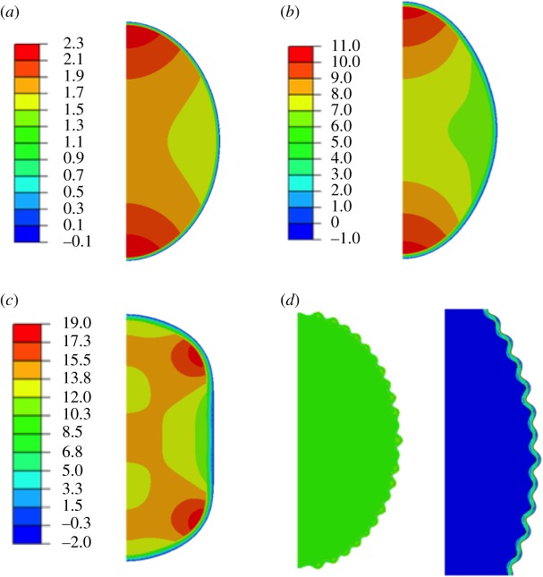 Figure 11.