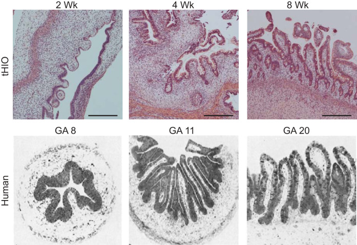 Fig. 3.