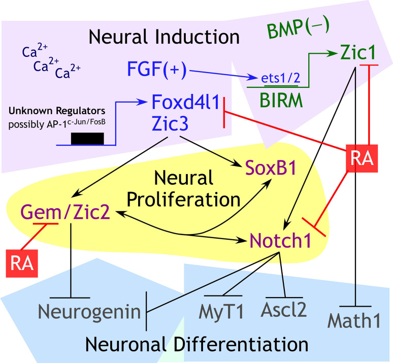 Fig. 1