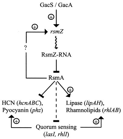 FIG. 8.