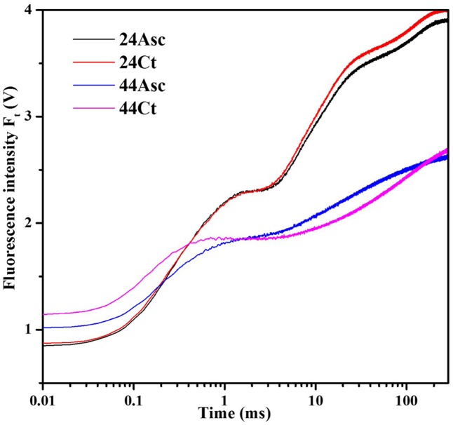 FIGURE 1