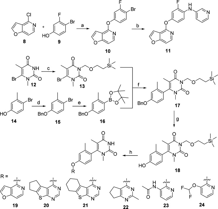 Scheme 1