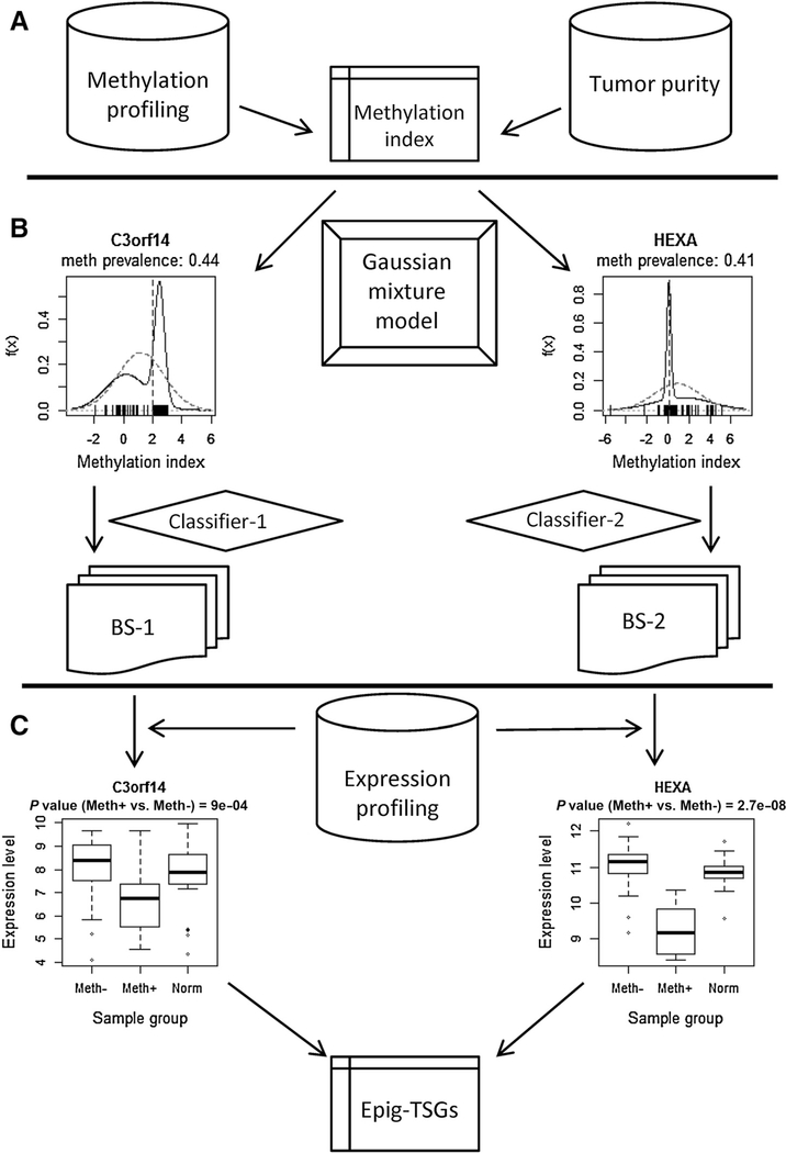 Figure 1.