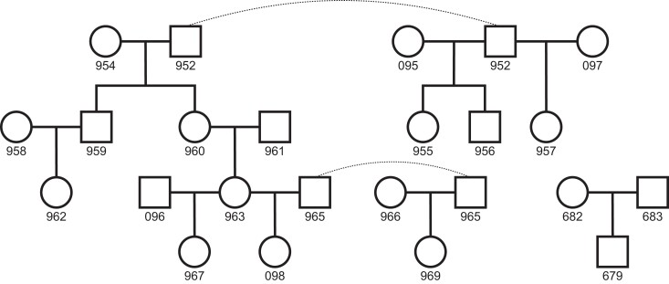 Fig. 1.