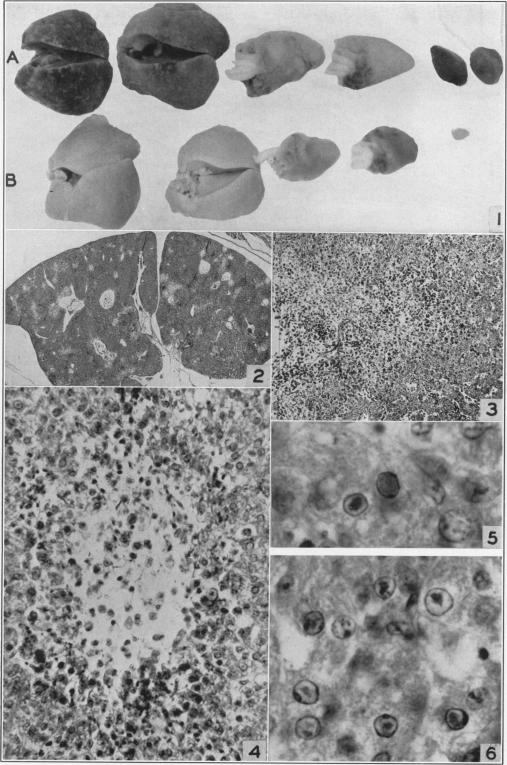 Figs. 1-6