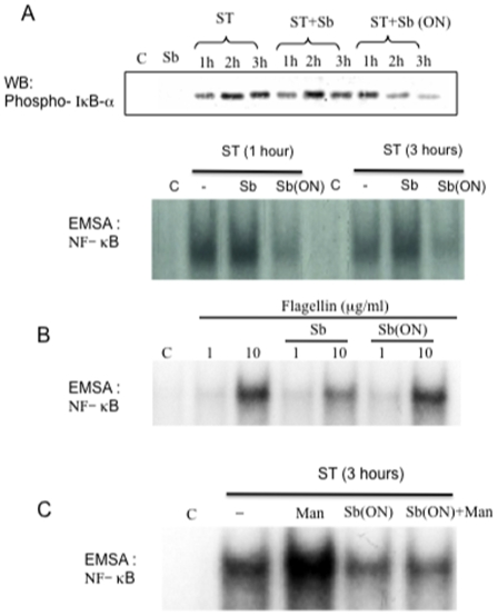 Figure 10