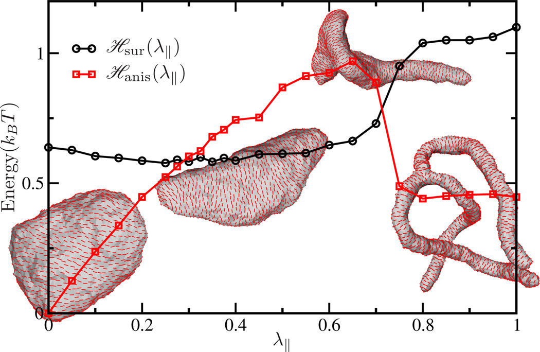 Figure 36