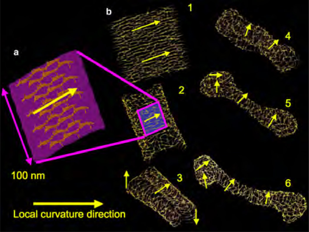 Figure 32